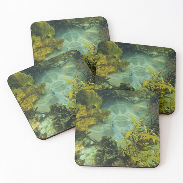 Item preview, Fiddler Ray Shying Away designed and sold by CoonayIsland.