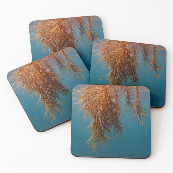 Item preview, Floating Forest designed and sold by CoonayIsland.