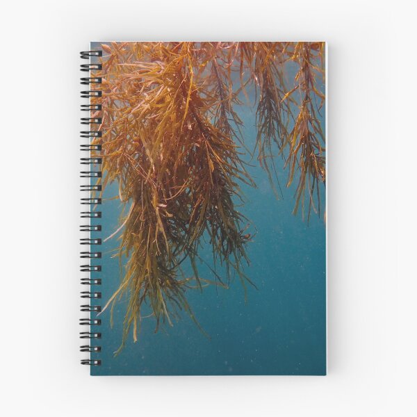 Item preview, Floating Forest designed and sold by CoonayIsland.