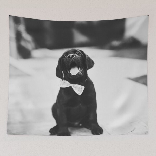 Item preview, Black Labrador Bow Tie designed and sold by opticpixil.