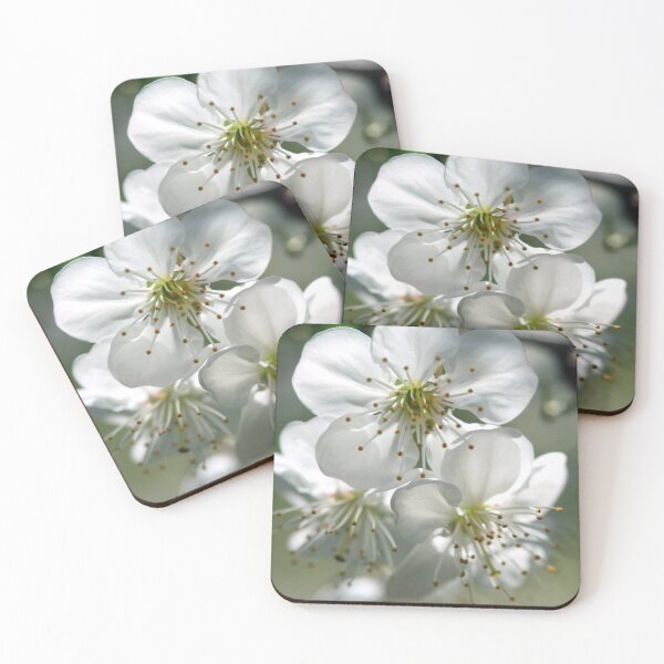 Item preview, white petals of spring blooming designed and sold by olena2552.
