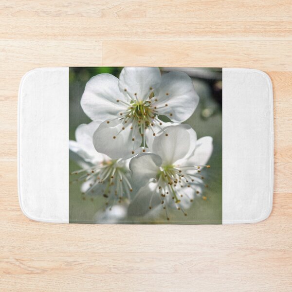 Item preview, white petals of spring blooming designed and sold by olena2552.