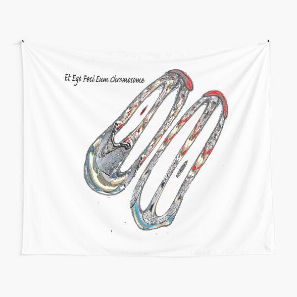 Et Ego Feci Eum Chromosome Tapestry