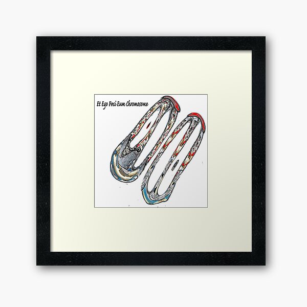 Et Ego Feci Eum Chromosome Framed Art Print