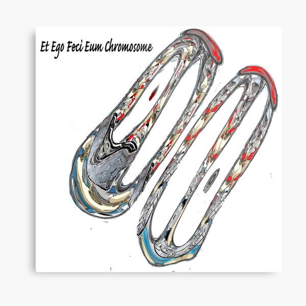 Et Ego Feci Eum Chromosome Metal Print