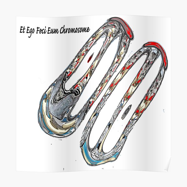 Et Ego Feci Eum Chromosome Poster