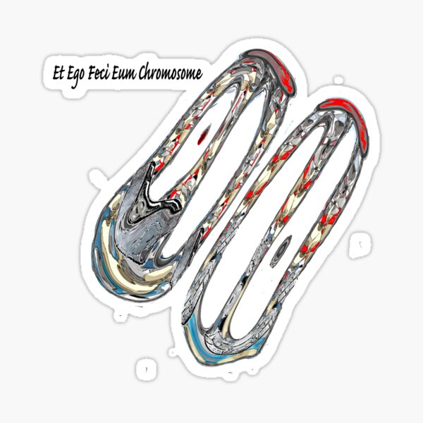 Et Ego Feci Eum Chromosome Sticker