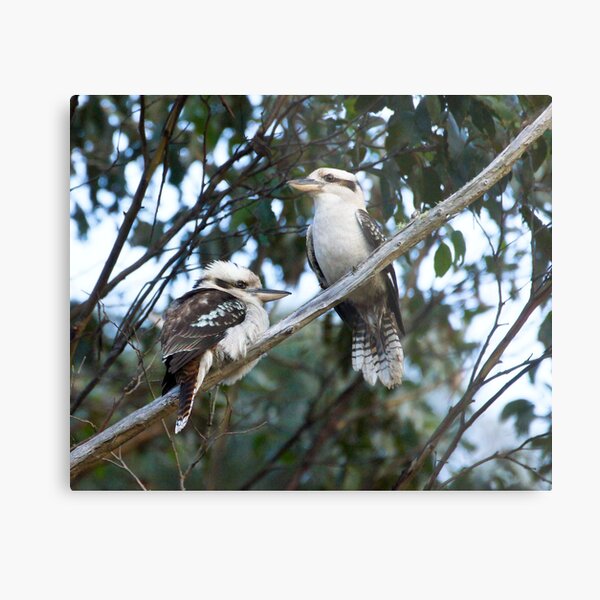 Then there were two Metal Print