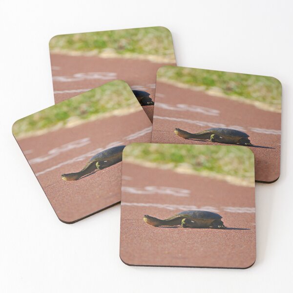 Item preview, A Long Necked Turtle Crossing The Cycle Path designed and sold by Jason Gilbert.