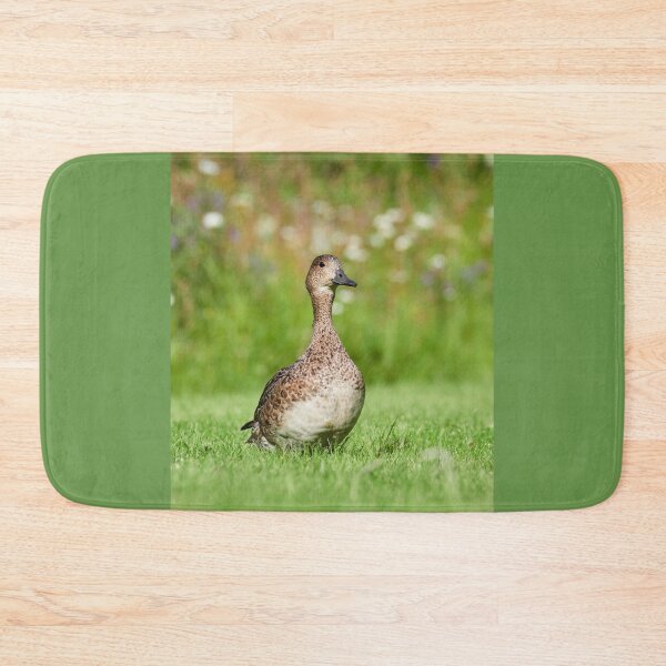 Item preview, Eurasian wigeon female designed and sold by Jouko Lehto Photography.