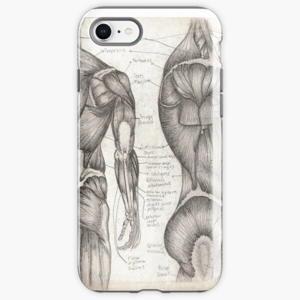 Human Anatomy 1 iPhone Tough Case