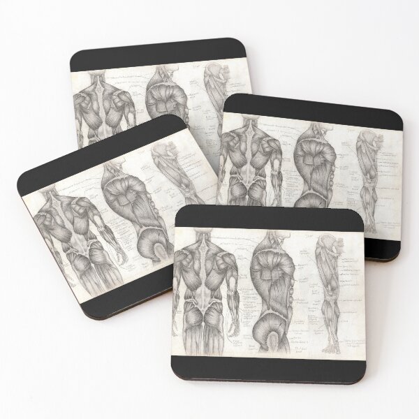 Item preview, Human Anatomy 1 designed and sold by Tara Hale.