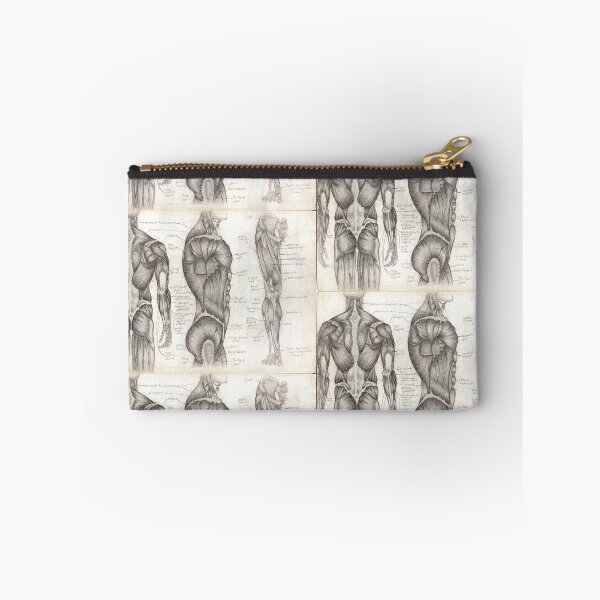 Item preview, Human Anatomy 1 designed and sold by Tara Hale.