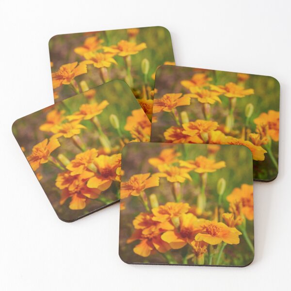 Item preview, Orange Signet Marigold designed and sold by Jouko Lehto Photography.