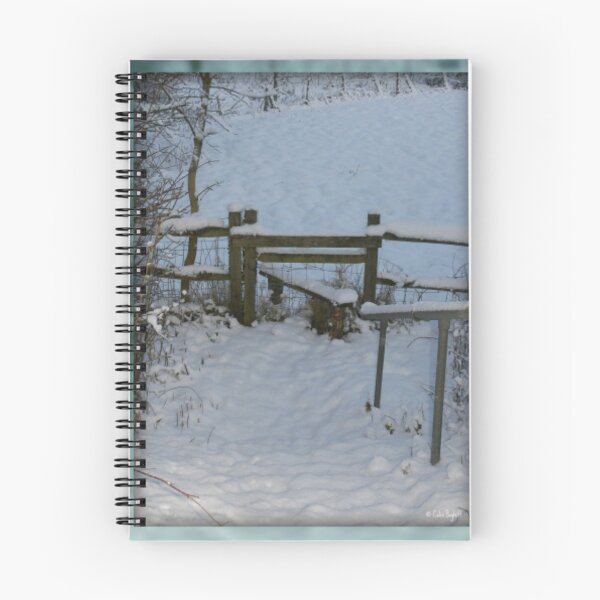 Item preview, Winter Stile designed and sold by ColinBoylett.