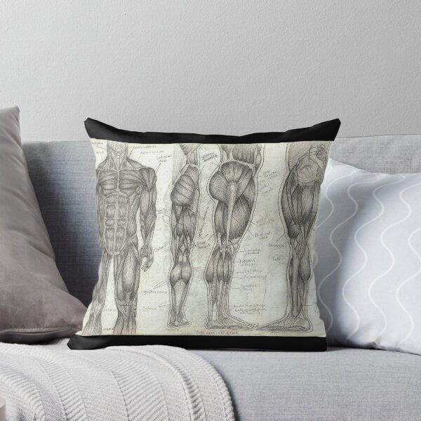 Item preview, Human Anatomy 2 designed and sold by Tara Hale.