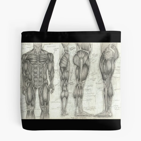 Item preview, Human Anatomy 2 designed and sold by Tara Hale.