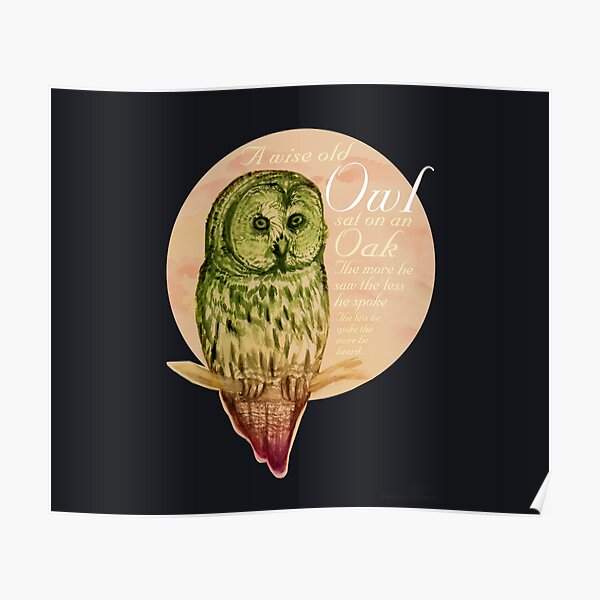 Wise Owl (by marthalaufej tintadesign) Poster
