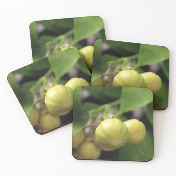 Item preview, Pomelo designed and sold by pinkal.