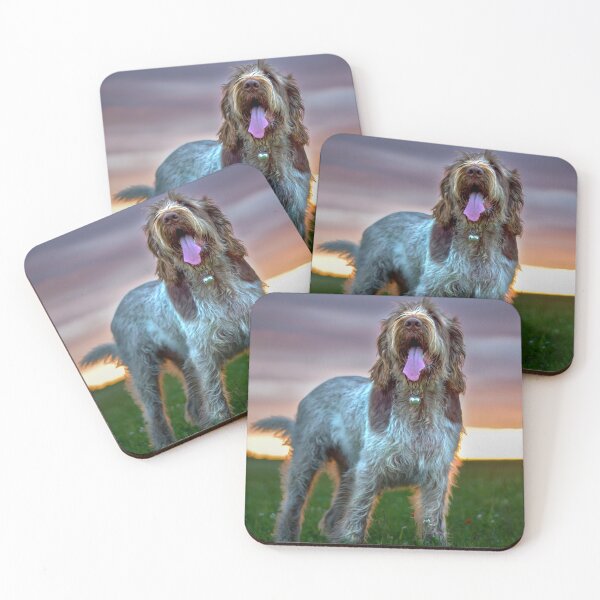 Item preview, Brown Roan Italian Spinone Sunset designed and sold by FOLK ART FUSION by heidiannemorris.