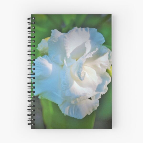 Item preview, White and ruffled designed and sold by B. Randi Bailey.