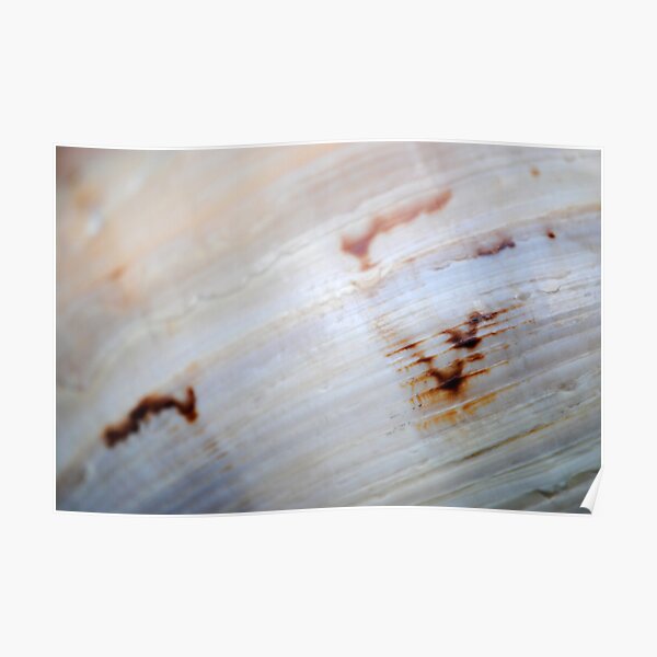 Cryptic Markings Poster