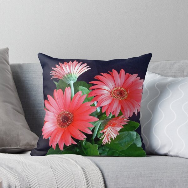 Item preview, Gerbera Daisy designed and sold by Johnny Furlotte.