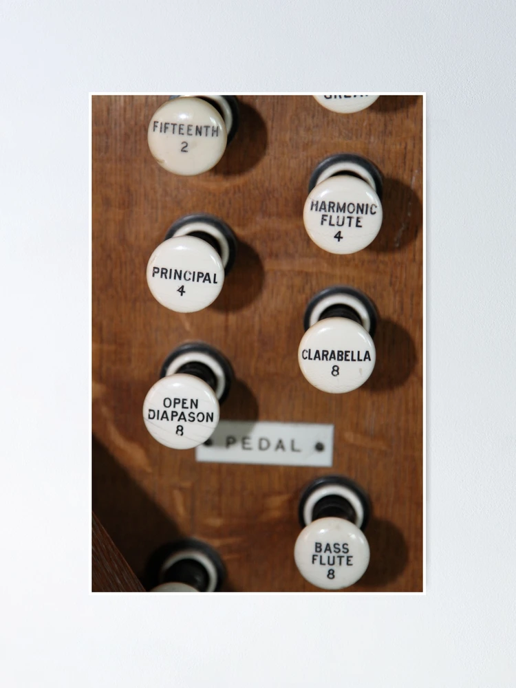 Imagen 1 de 3, Póster con la obra Organ Controls, diseñada y vendida por Nobleone.
