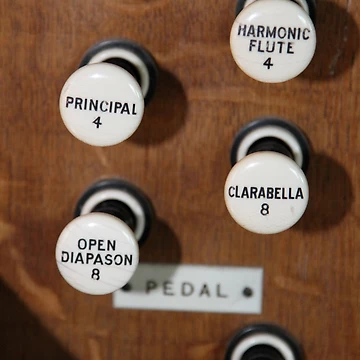 Imagen de la obra Organ Controls de Nobleone