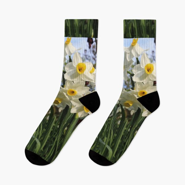 Item preview, Narcissus tazetta designed and sold by pinkal.