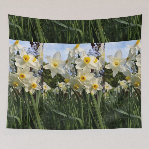 Item preview, Narcissus tazetta designed and sold by pinkal.