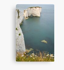 Jurassic coast Canvas Print