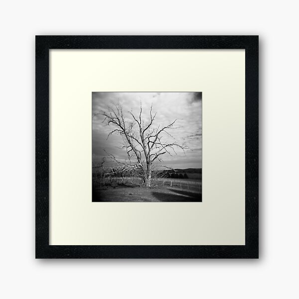 Item preview, The Dairy Tree designed and sold by sandybirze.