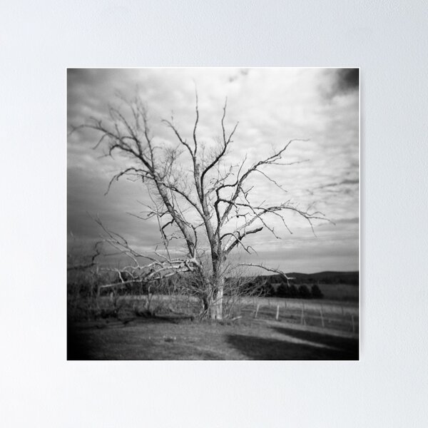 Item preview, The Dairy Tree designed and sold by sandybirze.