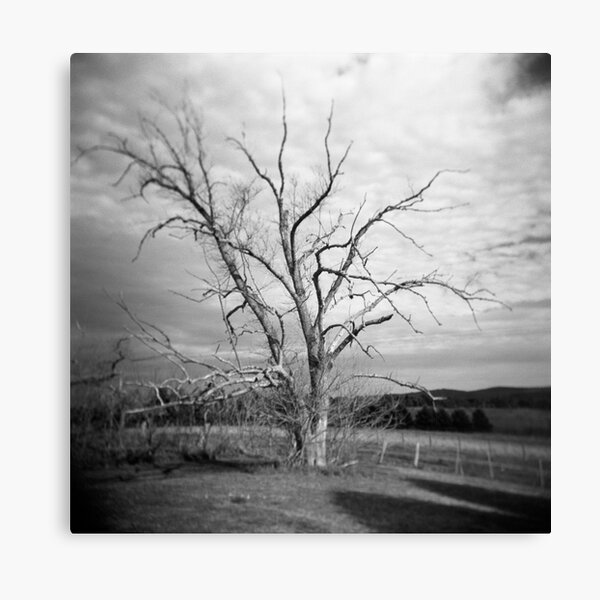 Item preview, The Dairy Tree designed and sold by sandybirze.