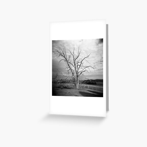 Item preview, The Dairy Tree designed and sold by sandybirze.
