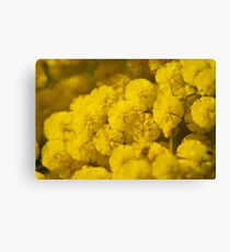 Puffs Of Yellow Leinwanddruck