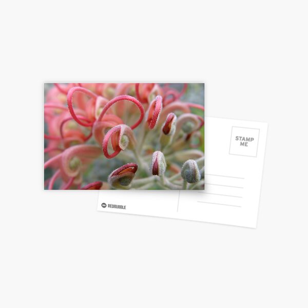 Item preview, One by one they slowly emerged. designed and sold by CapturedByKylie.