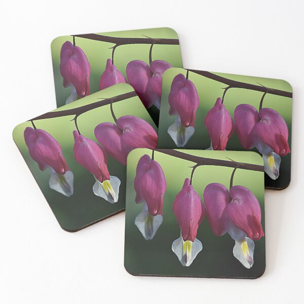 Item preview, Dicentra Spectabilis Bleeding Heart. designed and sold by Rob-Turner.