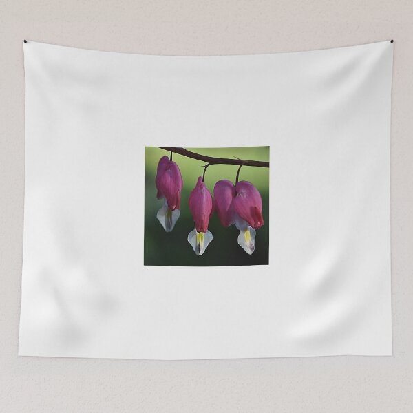 Item preview, Dicentra Spectabilis Bleeding Heart. designed and sold by Rob-Turner.