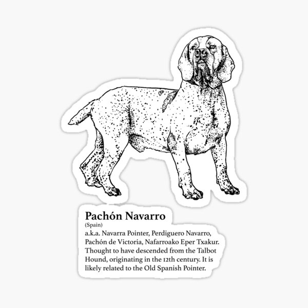 Pachón Navarro Sticker