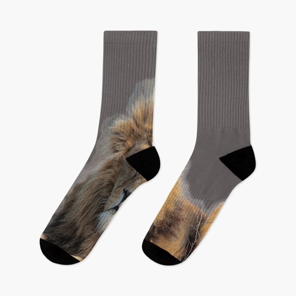 Item preview, Proud African Lion designed and sold by Darren Wilkes.