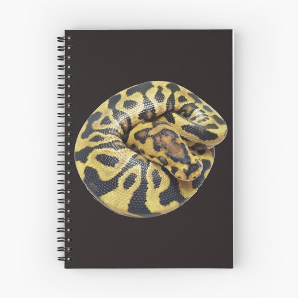 Artikelvorschau, Spotnose Gizmo Ball Python entworfen und verkauft von BDesignerMorphs.