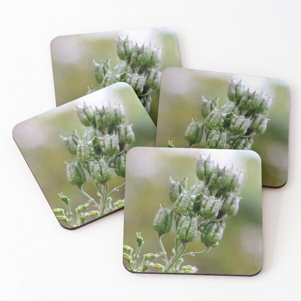 Item preview, Still a Garden Jewel designed and sold by cuprum.