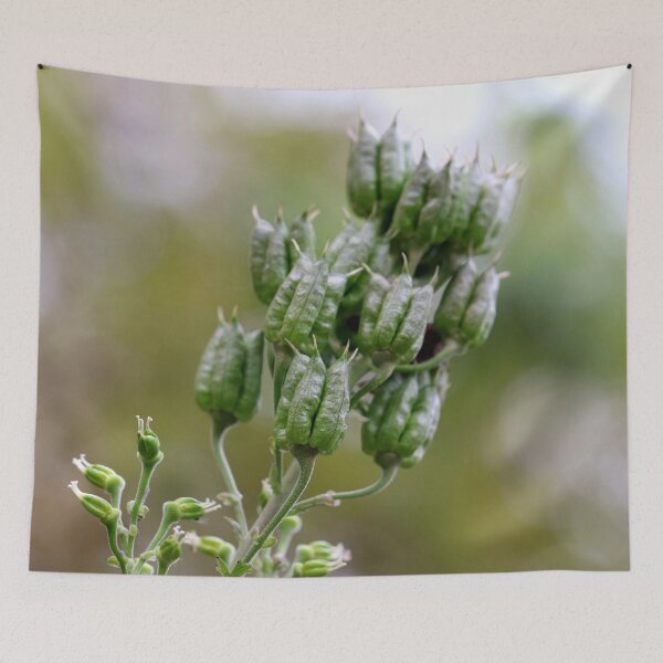 Item preview, Still a Garden Jewel designed and sold by cuprum.