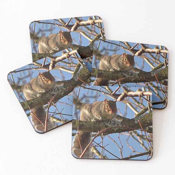 Item preview, Thereby hangs a tale !  designed and sold by Photography  by Mathilde.