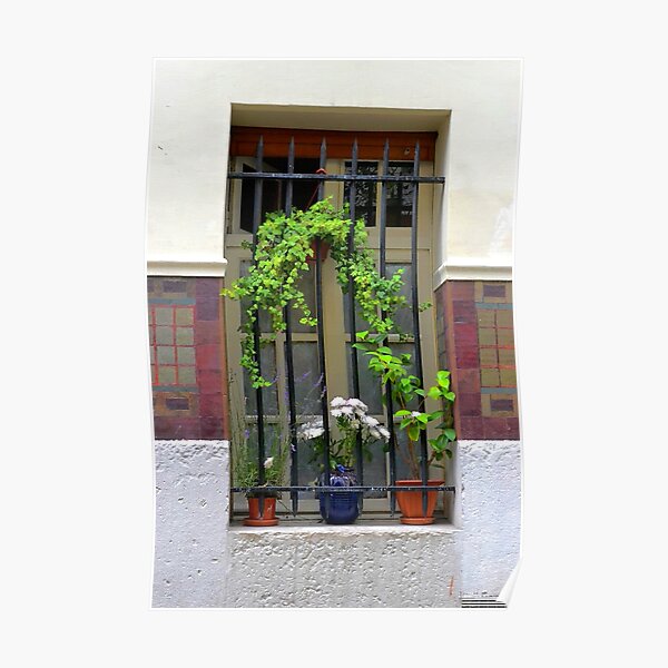 Parisian Window Poster