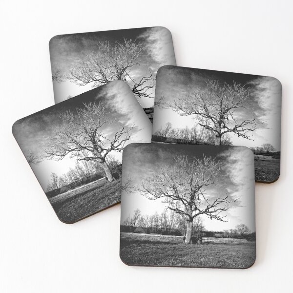 Item preview, Tree in mono designed and sold by ColinBoylett.
