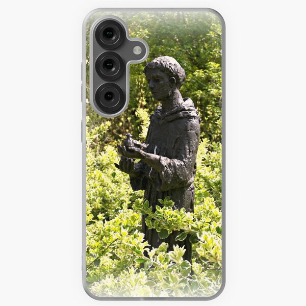 Item preview, St. Francis designed and sold by ColinBoylett.