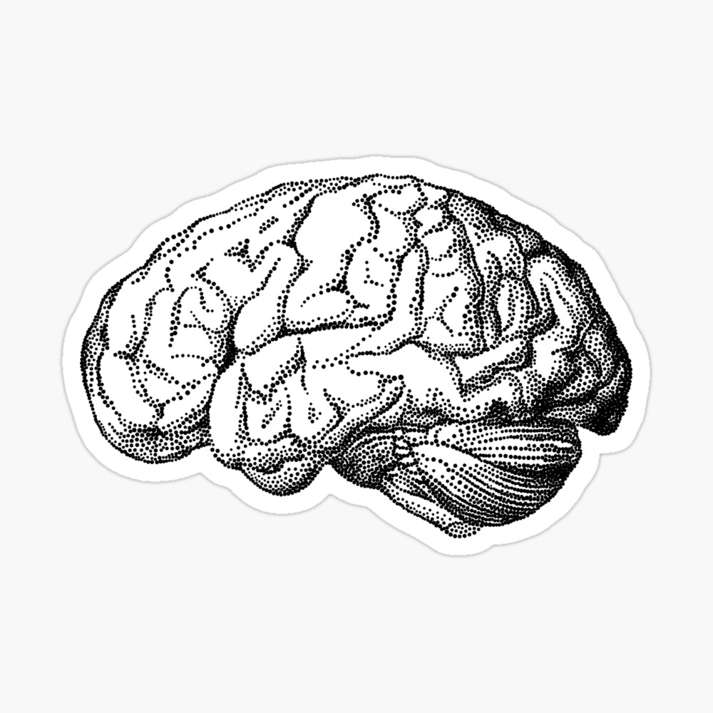 Brain Outline Images - Free Download on Freepik